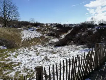 De Panne in de sneeuw (België)